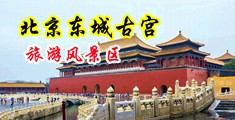 干骚货网址中国北京-东城古宫旅游风景区